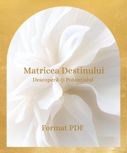 Matricea Destinului